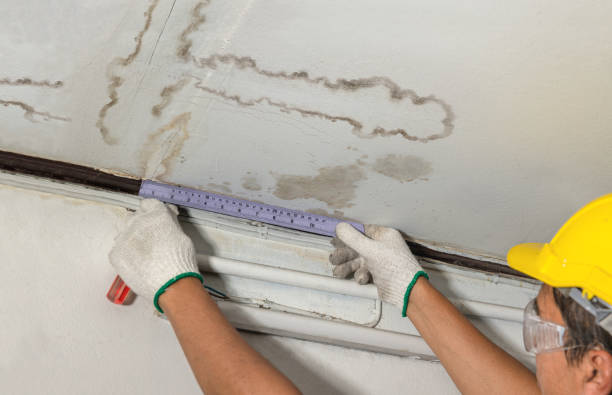 Reliable Structural Drying contractor in New Era, MI by Water Damage Irwin